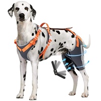 Attelle de genou pour chien personnalisée pour les pattes arrière avec charnière en métal, attelle de soutien pour chien ACL/CCL