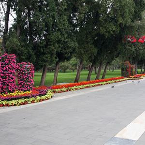 Macetas de Plástico para Postes de Lámparas, Macetas Colgantes Rectangulares para Plantas - Product Image 5