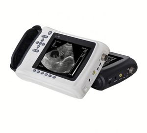 Équipement d'échographie vétérinaire médicale portable et économique KT-W002, scanner de diagnostic par ultrasons pour animaux - Product Image 3