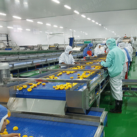 LWT Automatische productielijn voor ingeblikte blikken met bonen, fruit, groenten en snoepjes