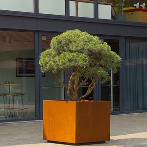 Prix métal jardinières et créations extérieures - Product Image 5
