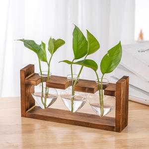 Plante Pothos Hydroponique Moderne dans un Vase en Verre Transparent avec Cadre en Bois Créatif Ornements de Bureau en Bois Massif Vase de Table - Product Image 5