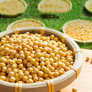 ซอสปรุงรสเห็ดหอม ฮาได ขนาด 100 มล. บรรจุขวด PET สำหรับน้ำจิ้ม/น้ำจิ้มรสอ่อนๆ สำหรับอาหารนึ่ง/<span class=keywords><strong>ต้ม</strong></span> ผลิตด้วยกระบวนการต้มด้วยมือ - Product Image 5