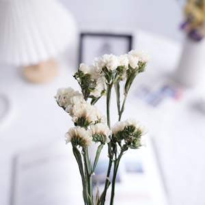 Limonium de larga duración <span class=keywords><strong>seco</strong></span> preservado Statice Forget Me Not Flower Decoración del hogar más popular <span class=keywords><strong>con</strong></span> <span class=keywords><strong>eucalipto</strong></span> y lavanda - Product Image 4