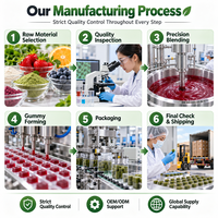 Gummies Super Greens OEM ODM, Mélange de Superaliments Probiotiques et Fibres, Compléments Alimentaires Quotidiens à Base de Plantes, Fournisseur d'Usine en Marque Blanche