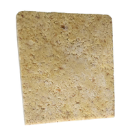 Gingembre surgelé de serre de haute qualité 100% pur, idéal pour la cuisine, livraison rapide, stockage IQF, fabriqué au Vietnam