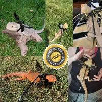 Ensemble de harnais et laisse réglables pour reptiles bearded dragon, costume ailes, vêtements pour bébés et jeunes lézards, iguanas, geckos, caméléons
