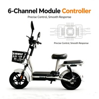 Nouveau vélo électrique standard national avec batterie au plomb 48V, vélo de banlieue pour adultes avec panier et siège arrière
