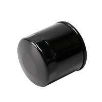 Filtre à huile haute performance personnalisable à bas prix 15208-AA100 pour Nissan Hyundai Kia