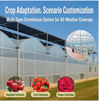 Serre commerciale multi-travées pour la culture de légumes, système de toiture en polycarbonate, système d'ombrage, ventilation