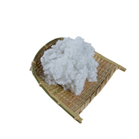 Fibre recyclée GRS 3D 7D 15D HCS Polyester creux pour jouets en peluche et vêtements Matériau de remplissage à motif siliconé