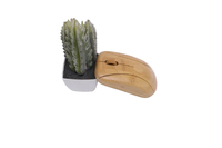 Souris de bureau silencieuse USB pour ordinateur portable Mini souris sans fil de bureau en bois de bambou écologique