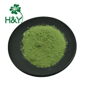 ISO certified Factory supply Wheat Grass Powder