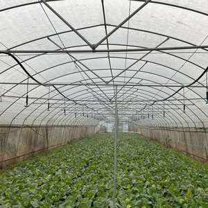 Serra Nebbia Sistema di Irrigazione - Product Image 1