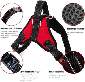 Arnés para Perro Grande de Nailon Reflectante, Transpirable y de Diseño Variado, de Lujo, Sólido y a la Moda, Tallas S-XL, Venta al Por Mayor del Fabricante Inthetrend - Product Image 5