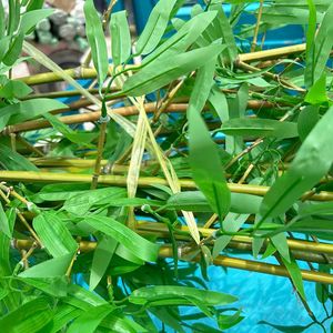 Bán Buôn 6ft Cao Sân Sau Trong Nhà Trang Trí Sàn Nhân Tạo Nhựa Cây Tre Hàng Rào Nhân Tạo Cây Tre Với Planter - Product Image 2