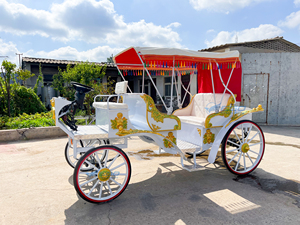 Véhicule électrique de tourisme idéal pour les parcs d'attractions, calèche à chevaux à vendre - Product Image 6