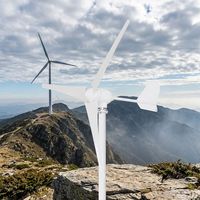 Mini-éolienne 500W avec boîtier en aluminium moulé sous pression, résistante aux acides et aux sels, durée de vie de 20 ans, pour zones côtières hors réseau