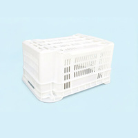 Conteneurs en plastique empilables, étanches, écologiques, durables, paniers à fruits et légumes personnalisés, vente en gros d'usine
