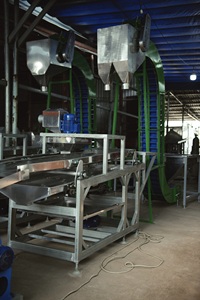 เครื่องกะเทาะเปลือกเม็ดมะม่วงหิมพานต์ แบบหัวตัดคู่ 10 ใบมีด (หลายขนาด) กำลังการผลิต 700-800 กิโลกรัม/ชั่วโมง ระบบอัตโนมัติเต็มรูปแบบ - Product Image 6