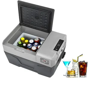 50L MÁY NÉN Xách Tay Nhỏ Tủ Lạnh Cooler Tủ Đông Nhà Và Xe Xe Xe Tủ Lạnh