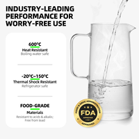 Carafe à café froid 1000 ml / 34,16 oz en verre avec filtre en acier, poignée et couvercle pour café glacé, thé, maison, café, brunch, réfrigérateur
