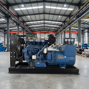 Groupe électrogène 60 kW avec alternateur sans balais pour alimentation de secours industrielle et domestique, haute efficacité énergétique - Product Image 2