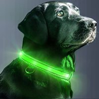Kalung Anjing Nilon Flash Pet dengan Fungsi Ganda USB, Tali Pengikat Model Leash Charm Harness untuk Jalan-Jalan Musim Dingin, Acara Hewan Peliharaan, Aksesoris Hewan Peliharaan Nilon Modis
