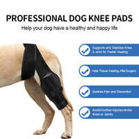 Genouillère pour chien personnalisée pour les jambes arrière avec attelle en métal charnière pour chien genouillère pour chien