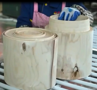 Machine à éplucher le bois rotative à commande PLC pour la production de placages de contreplaqué