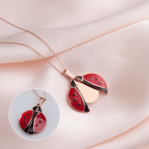 Collar con Medallón <span class=keywords><strong>de</strong></span> Mariquita en Acero Inoxidable Chapado en Oro <span class=keywords><strong>de</strong></span> 18K, <span class=keywords><strong>Mensaje</strong></span> Oculto Personalizado, Joyería Minimalista Resistente al Deslustre - Product Image 3