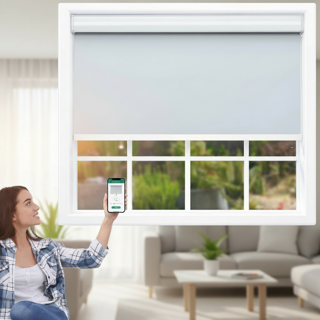 Latest Electric Motorized Blackout Smart Built-In External Solar Windows Blinds Compatible Alexa Remote Control Roller Kitchen