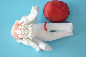 Modelo de Pelvis para Demostración de Parto con Feto/Cordón Umbilical/Placenta, Modelo de Pelvis para Enseñanza Obstétrica para <span class=keywords><strong>Centros</strong></span> de Salud. - Product Image 2