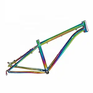 Raibown Titanium Ti3al2.5v Sepeda Gunung Sepeda Mtb Hardtail Frame Cocok untuk 29er