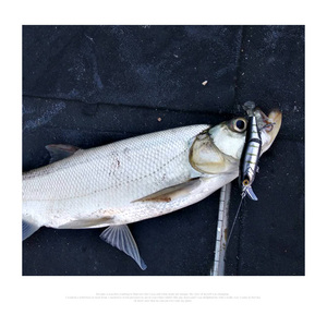 Multi Leurres de Pêche Articulés 120mm/17.5g Surface Flottante Dur Appâts Minnow Swimbait doux t-tail <span class=keywords><strong>leurre</strong></span> - Product Image 2