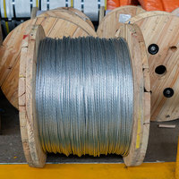 Superficie Lisa, Capa de Zinc Intacta, Hilo de Acero Galvanizado Duradero con Propiedad Mecánica Estable, Soporta Carga
