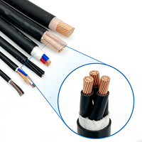 Câble blindé tressé ignifuge NH-KVVP 450/750V pour le câblage industriel de contrôle et de sécurité incendie