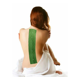 Ajenjo Jengibre Crema Cervical Parche PARA EL Dolor de Rodilla - Product Image 1