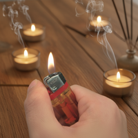 Briquet LED rechargeable en plastique, très populaire, avec boîtier multicolore, logo personnalisé, portable et écologique