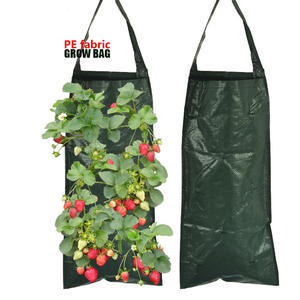 <span class=keywords><strong>Sac</strong></span> de culture suspendu à 10 trous pour tomates, poivrons, herbes et légumes, pot à fraises inversé, jardin suspendu, sacs de culture pour tomates - Product Image 3