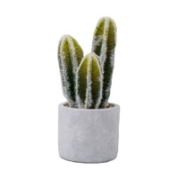Plante de cactus artificielle minuscule A-3053 Ins en pot pour la décoration de porte