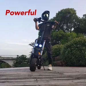 2023 ESHINER E5B 100 km 50 mph 30 ah 11 pouces moteur électrique pour scooter TKA avec clignotant led affichage