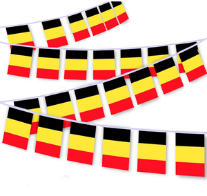 Czech Republic Cheap 14*21cm 2026 Football Soccer Fans Team National Waterproof Flag World Bunting String Flag for Decoration - Product Image 4