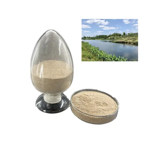 Hot Selling Microbial Denitrification Enzyme Bio Bacteria for River Rehabilitation