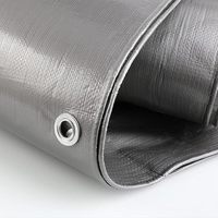 Bâche en PE imperméable pour extérieur, jardin, abri de plantes, bateau, voiture, camion, auvent, voile d'ombrage, couverture pour animaux de compagnie