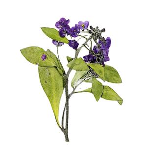 Résine époxy pour Scrapbooking, gaufrage fait à la main, fausse plante naturelle, fleur écologique à pression - Product Image 1