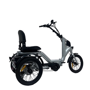 Tricycle électrique orthopédique d'usine chinoise, mini tricycle électrique de route de 18 <span class=keywords><strong>pouces</strong></span>, vélo électrique urbain à 3 roues avec batterie de 20 Ah - Product Image 1