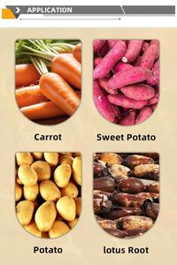 Automatische fruit-, groente-, cassave-, aardappel- en wortelreinigings- en schilmachine - Product Image 6