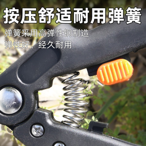 Cisailles de greffage Kyushu Garden 5-10 mm en acier inoxydable à coupe de sécurité pour arbres fruitiers et semis - Product Image 5