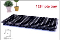 Barquette de semis jetable en plastique épaissi pour tomates, poivrons, succulentes, boutures, fraises, lot de semis